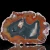 agat-argentyny-puma-patagonia (48) (Copy).webp