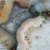 agat-argentyny-puma-patagonia (57) (Copy).webp