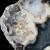 agat-argentyny-puma-patagonia (73) (Copy).webp