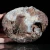 agat-maroko-agouim-kolekcjonerski (6) (Copy).webp