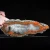 agat-maroko-agouim-kolekcjonerski (93) (Copy).webp