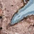 agat-nowy-kosciol-polska-naturalny (92) (Copy).webp