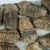 trylobity-naturalna-skamielina-sklep (2).webp