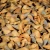 skamienialy-zab-rekina-skamieliny (2).webp