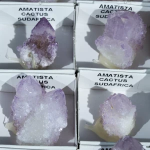 ametyst-kaktusowy-naturalny-fiolet (2).webp