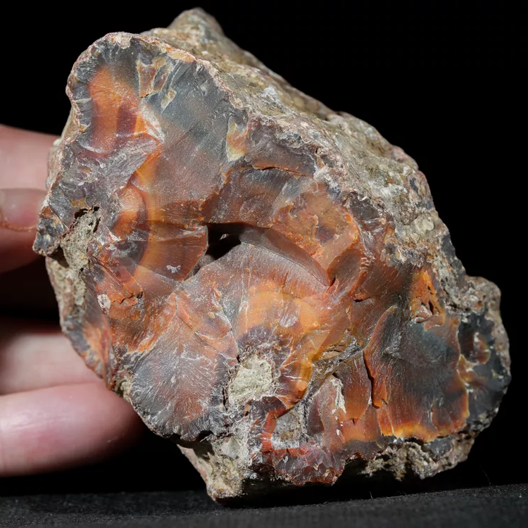 agate-condor-argentina-specimen (34).webp