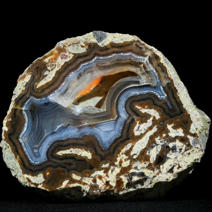 drzewo-skamieniale-agat-turcja (25).webp