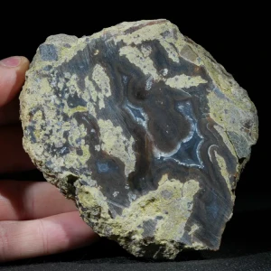 drzewo-skamieniale-agat-turcja (28).webp
