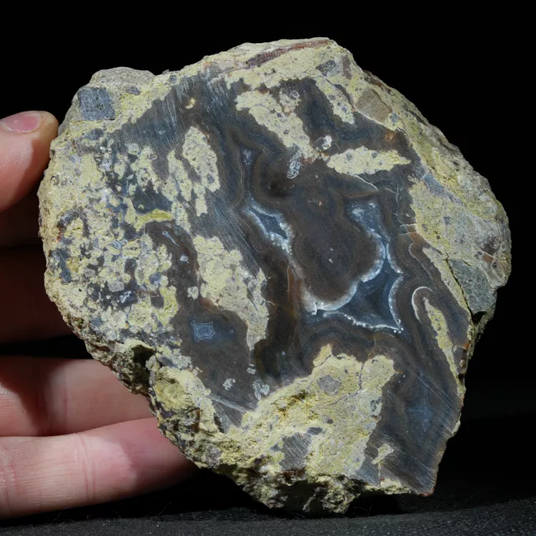 drzewo-skamieniale-agat-turcja (28).webp