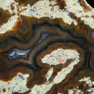drzewo-skamieniale-agat-turcja (18).webp