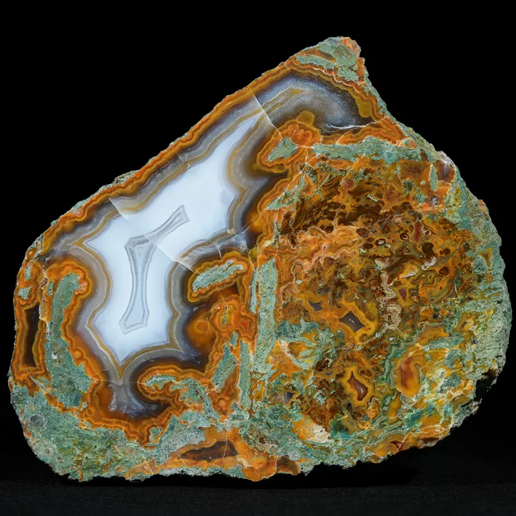 drzewo-skamieniale-agat-turcja (4).webp