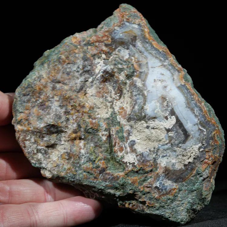 drzewo-skamieniale-agat-turcja (6).webp
