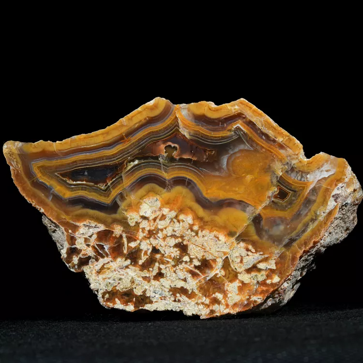 drzewo-skamieniale-agat-turcja (43).webp