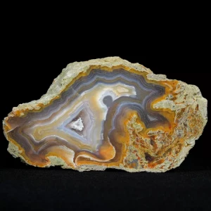 drzewo-skamieniale-agat-turcja (1).webp