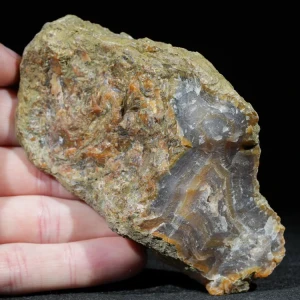 drzewo-skamieniale-agat-turcja (3).webp