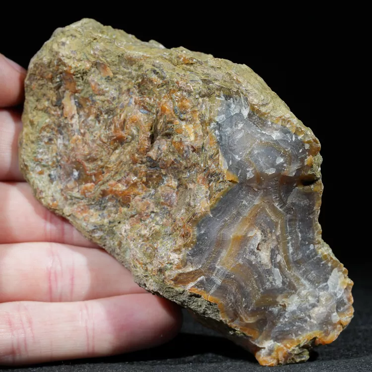 drzewo-skamieniale-agat-turcja (3).webp