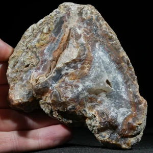 drzewo-skamieniale-agat-turcja (42).webp