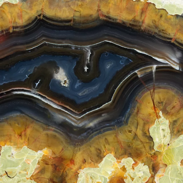drzewo-skamieniale-agat-turcja (57).webp