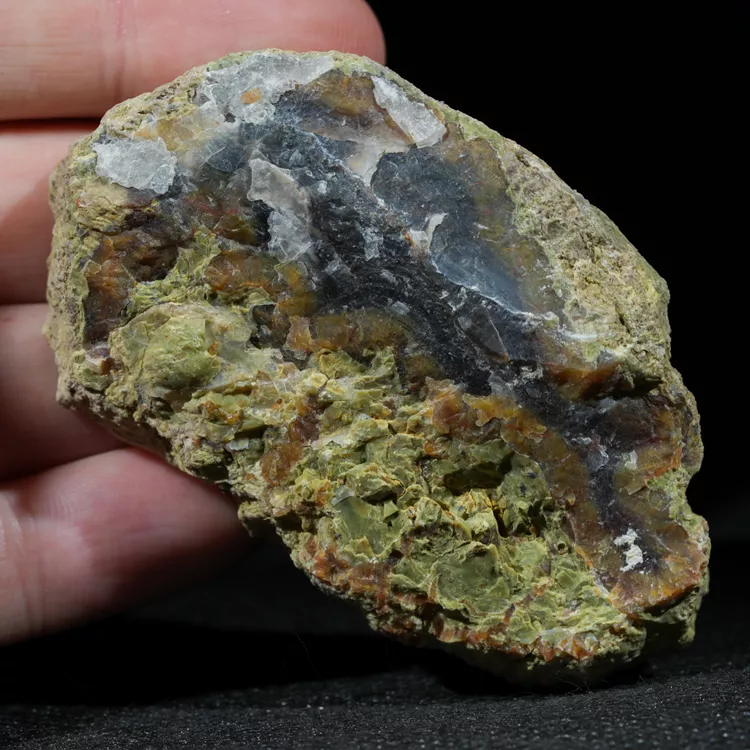 drzewo-skamieniale-agat-turcja (58).webp