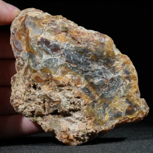 drzewo-skamieniale-agat-turcja (32).webp