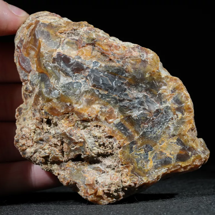 drzewo-skamieniale-agat-turcja (32).webp