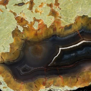 drzewo-skamieniale-agat-turcja (54).webp