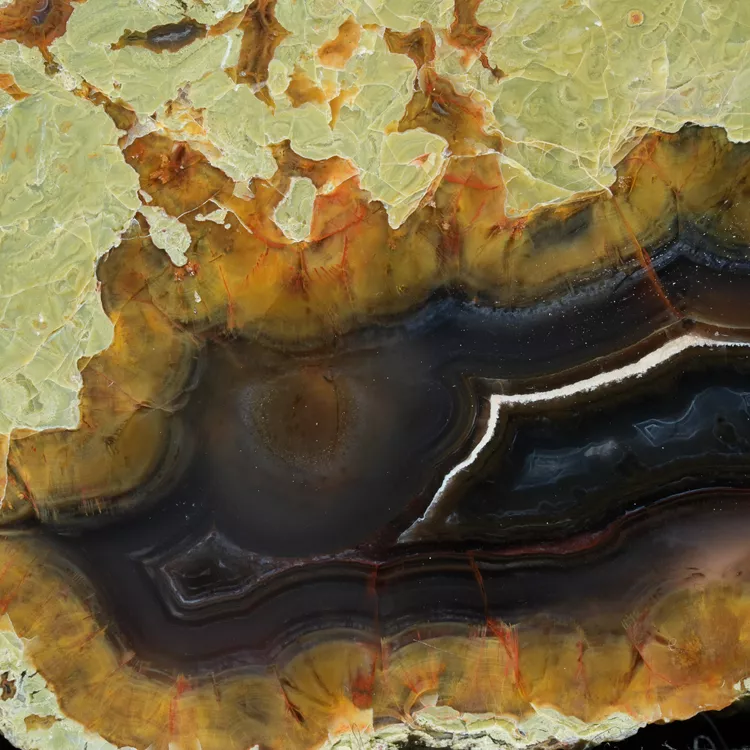drzewo-skamieniale-agat-turcja (54).webp