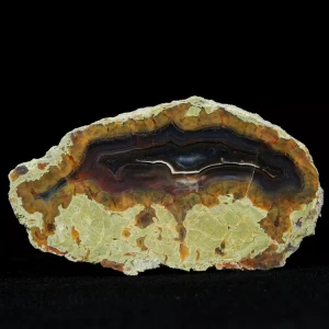 drzewo-skamieniale-agat-turcja (60).webp