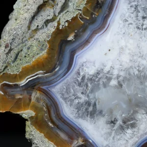 drzewo-skamieniale-agat-turcja (8).webp