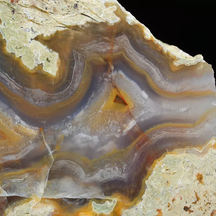 drzewo-skamieniale-agat-turcja (13).webp