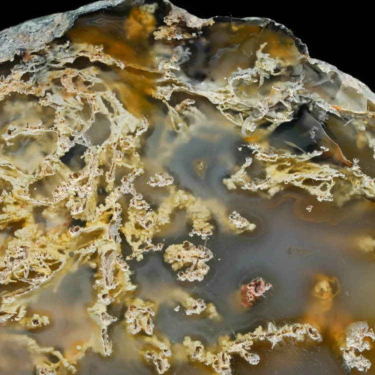 sumatra-agate-indonesia-collector (33).webp