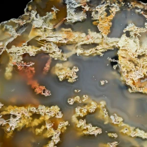 sumatra-agate-indonesia-collector (30).webp