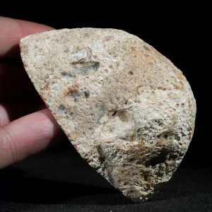 sumatra-agate-indonesia-collector (63).webp