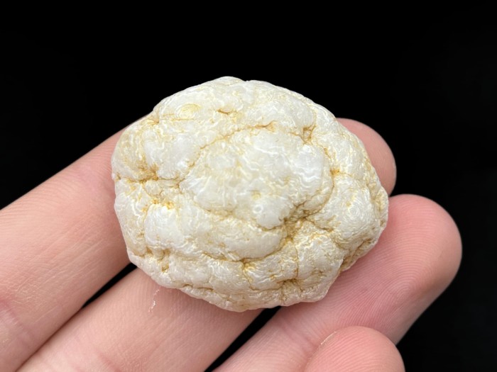 GEO23_1.jpg
