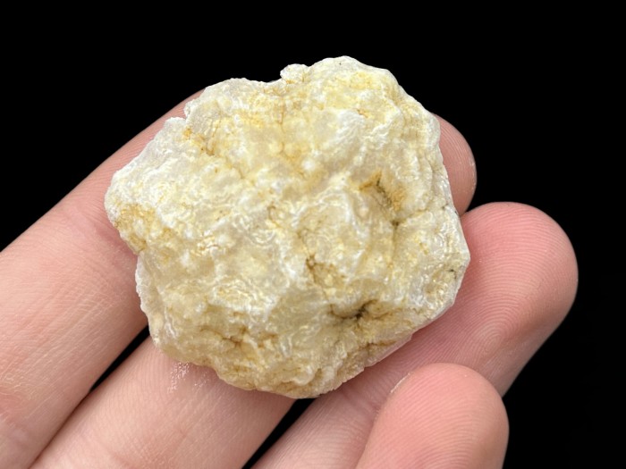 GEO24_1.jpg