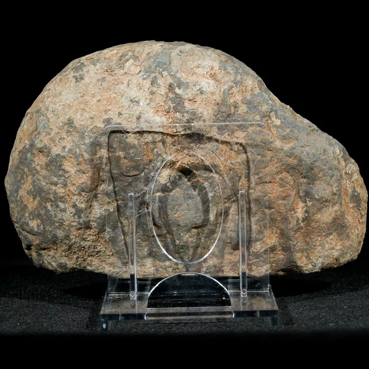 septaria-maroko-naturalna-smoczy-kamien (59) (Copy).webp