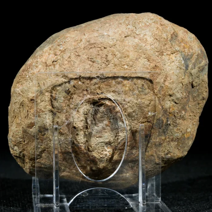 septaria-maroko-naturalna-smoczy-kamien (67) (Copy).webp