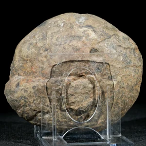 septaria-maroko-naturalna-smoczy-kamien (77) (Copy).webp