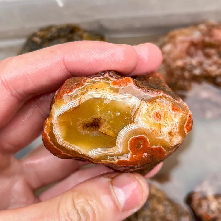 agate-morocco-rough-lapidary-specimen (59) (Copy).webp