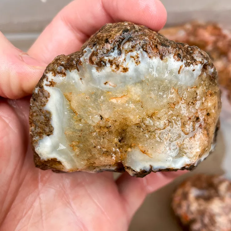 agate-morocco-rough-lapidary-specimen (60) (Copy).webp