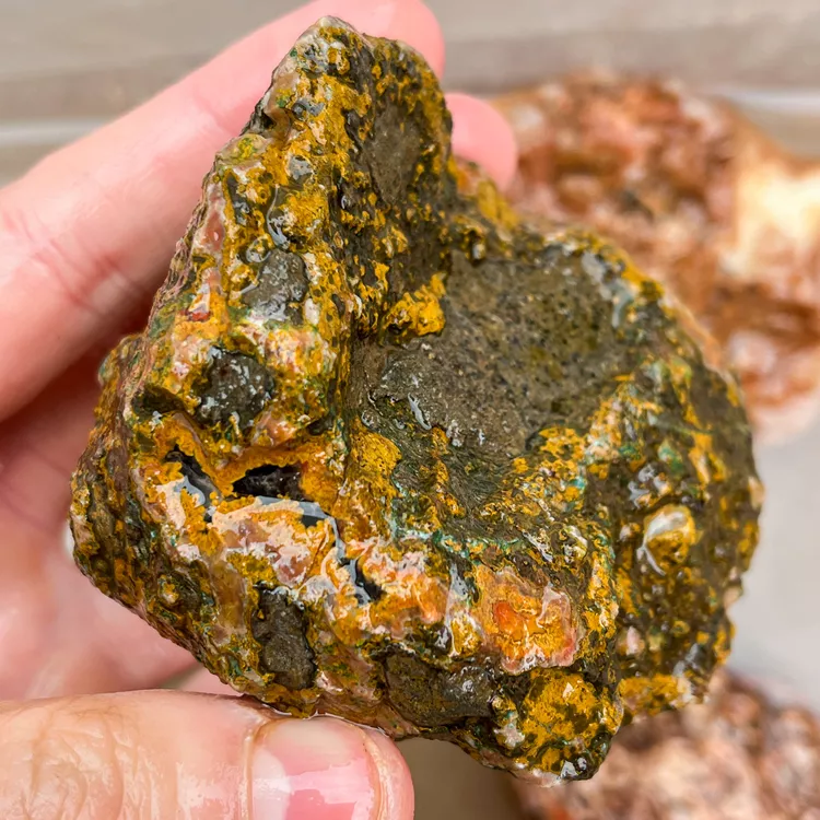 agate-morocco-rough-lapidary-specimen (61) (Copy).webp