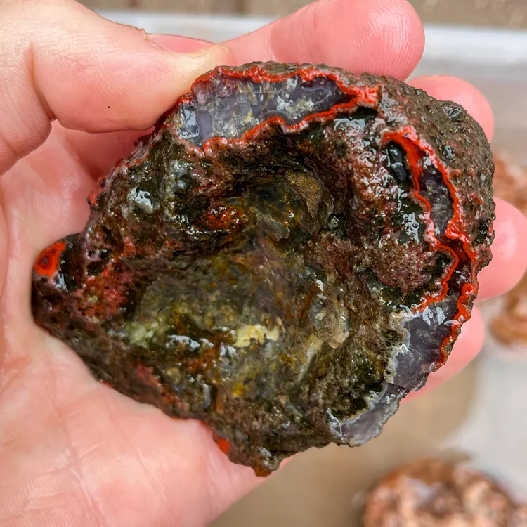 agate-morocco-rough-lapidary-specimen (62) (Copy).webp