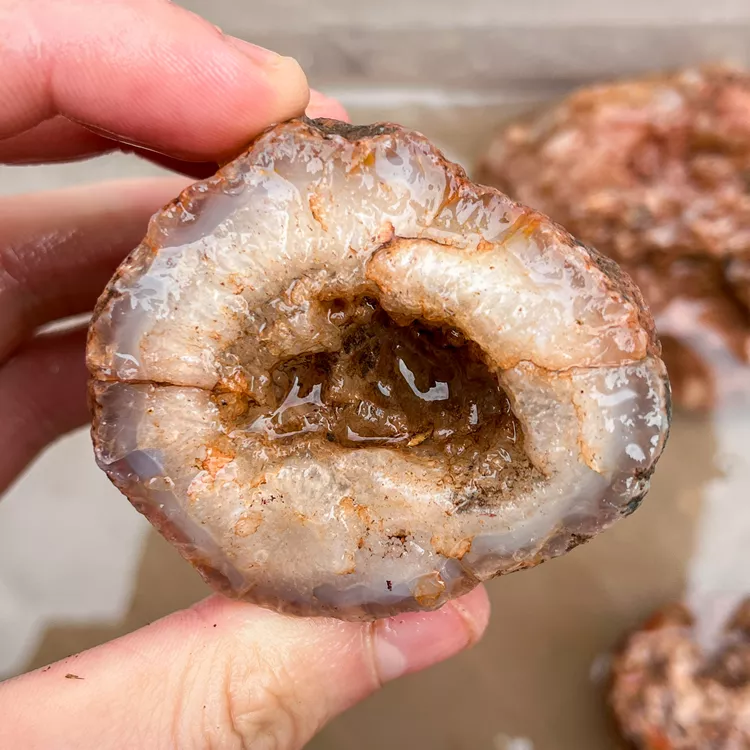 agate-morocco-rough-lapidary-specimen (63) (Copy).webp
