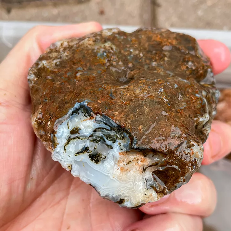 agate-morocco-rough-lapidary-specimen (64) (Copy).webp