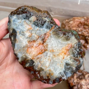 agate-morocco-rough-lapidary-specimen (65) (Copy).webp