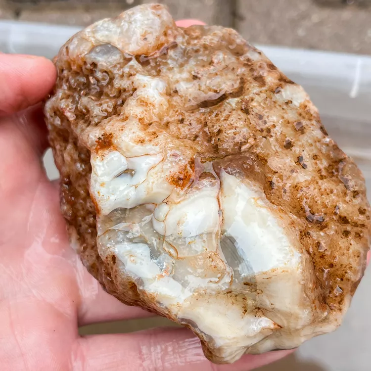 agate-morocco-rough-lapidary-specimen (66) (Copy).webp