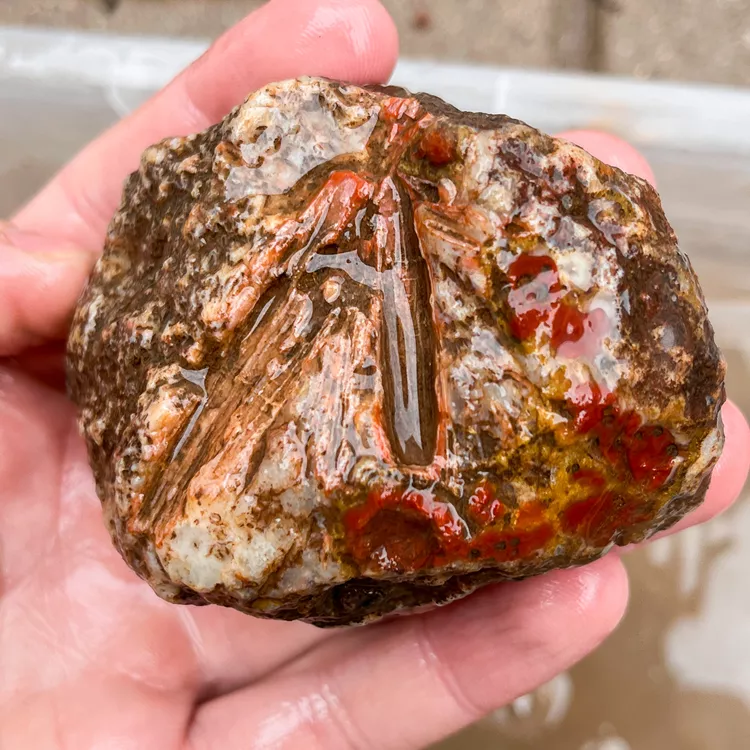 agate-morocco-rough-lapidary-specimen (67) (Copy).webp