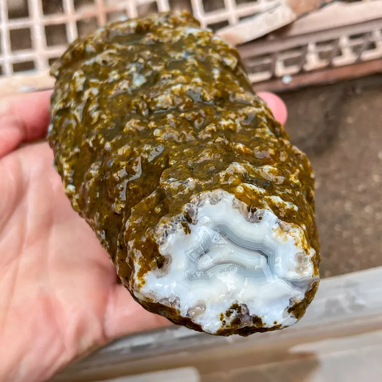 agate-morocco-rough-lapidary-specimen (69) (Copy).webp