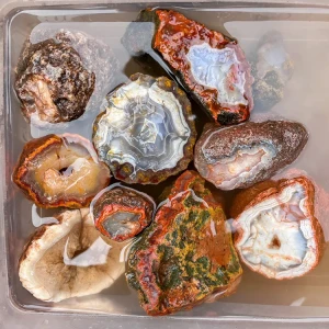 agate-morocco-rough-lapidary-specimen (47) (Copy).webp