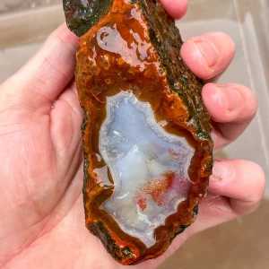 agate-morocco-rough-lapidary-specimen (50) (Copy).webp